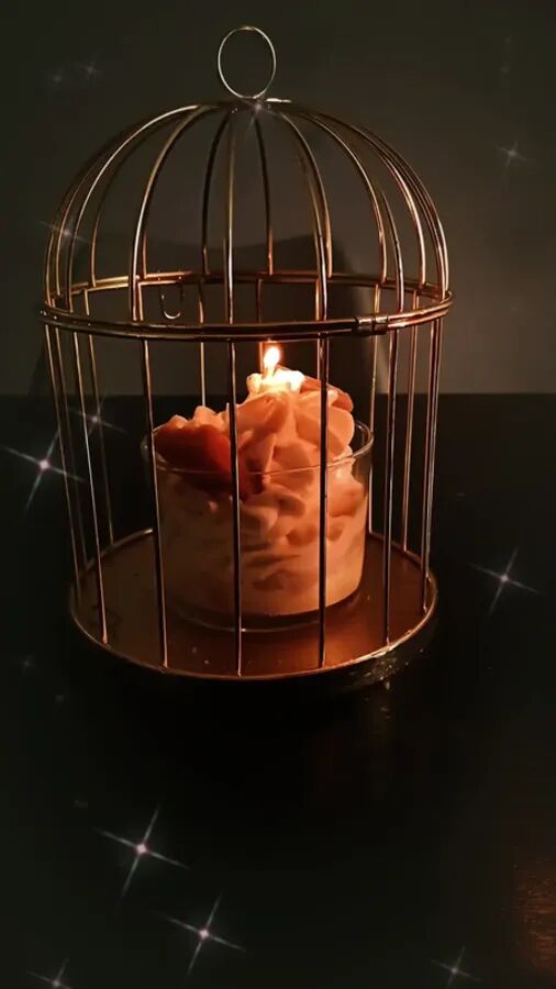 J'espère que vous avez passé un merveilleux moment !